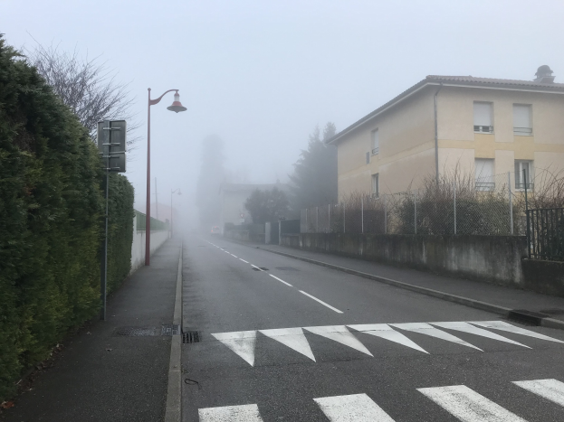 Eine neblige Straße mit einem Zebrastreifen, Bäumen links, Gebäuden rechts und beleuchteten Straßenlaternen.
