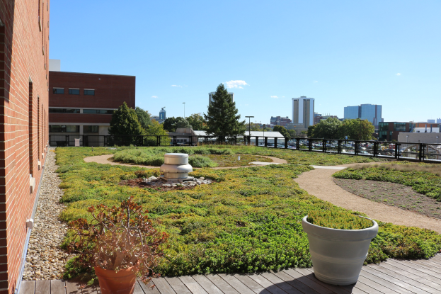 Grüne Dachterrasse auf einem Gebäude mit Topfpflanzen, umgeben von städtischen Strukturen und Fahrzeugen, unter einem bewölkten Himmel.