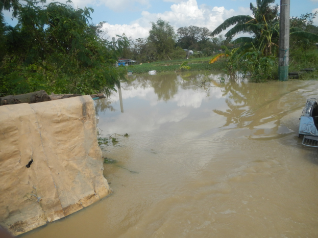 Eine überflutete Straße mit einem teilweise im Wasser versunkenen Auto in der Mitte, ein weiteres Fahrzeug auf der rechten Seite und ein unbestimmtes Objekt auf der linken Seite; Bäume, Pflanzen, Gras und ein Pfahl im Hintergrund unter einem bewölkten Himmel.