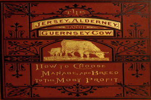 Ein Buch mit dem Titel "Die Jersey-, Alderney- und Guernsey-Kuh: Wie man auswählt, verwaltet und züchtet, um den größten Profit zu erzielen" mit einem Kuhbild auf dem Cover.