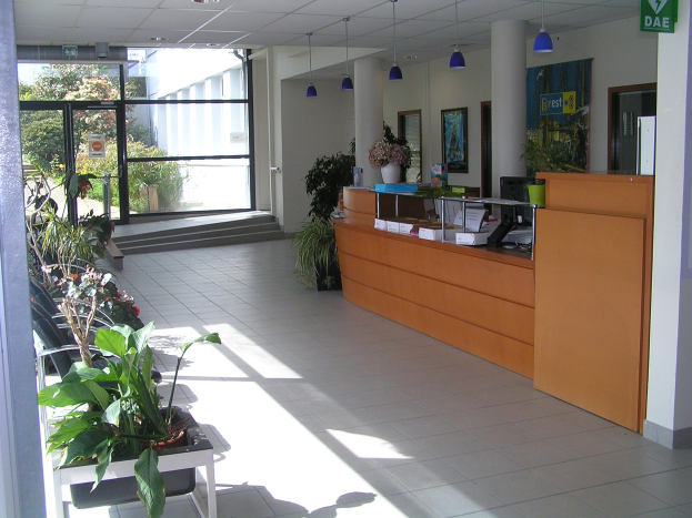 Lobby mit Empfangstheke, Hauspflanzen, hängenden elektrischen Leuchten, an der Wand montierten Namensschildern und einer Glastür, die einen gemütlichen Eindruck erweckt.