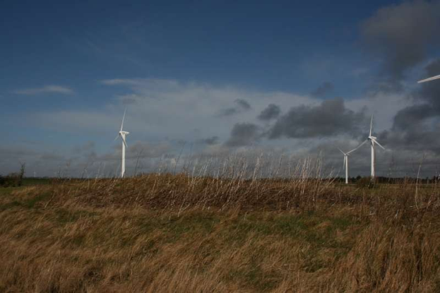 Luftaufnahme eines Windparks mit mehreren Turbinen auf einer grünen Wiese, umgeben von Bäumen und unter einem bewölkten Himmel.