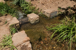 Ein kleiner Bach fließt durch einen grünen Wald, mit einem metallenen Abwasserbehälter in der Mitte.