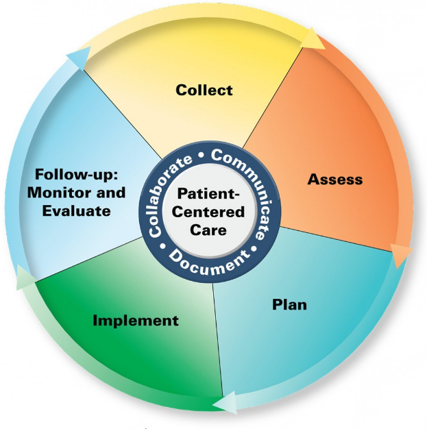 Kreisförmiges Diagramm mit der Bezeichnung "patientenorientierte Pflege" mit vier farbigen Abschnitten, von denen jeder mit einer Pflegebeschreibung beschriftet ist, auf einem weißen Hintergrund.